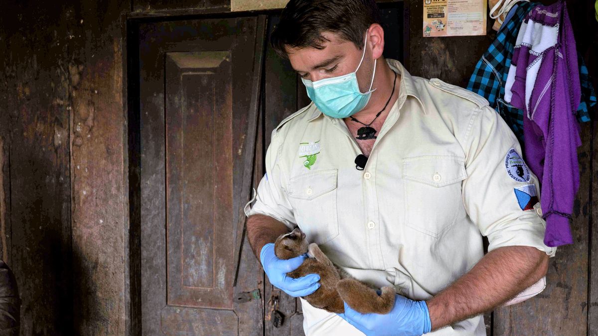 V Asii pomáhá chytat pašeráky zvířat